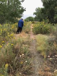 42435050_2093293160760111_4630001528504057856_n